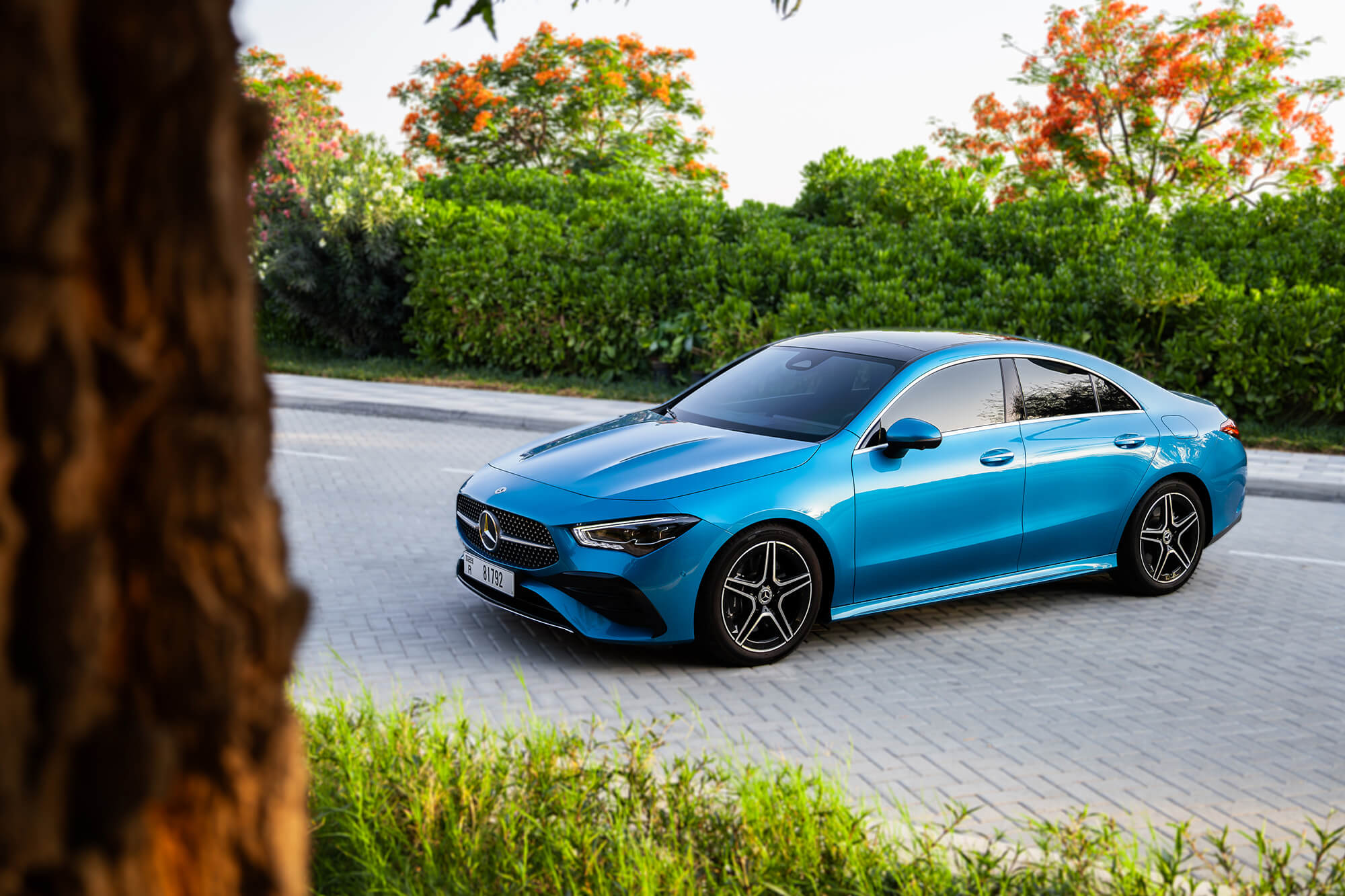 Singapore Luxe Drive: 24h Premium Car Rental